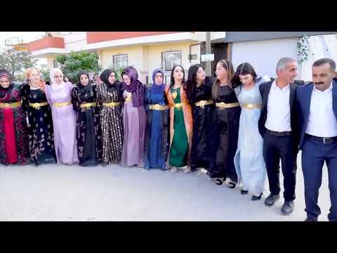 Hunermend Dilyar Keçik´a Mêrdînî /NEW 2025/ الفنان دليار البنت المردينية