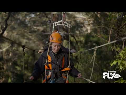 Illawarra Fly Treetop Adventures