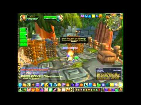 4.1 zul aman 5 man heroic walkthrough and commentary (part 1)