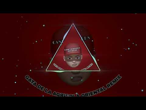 Gata de la agricola oriental remix 🇲🇽🍑