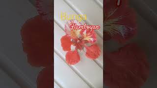 Download lagu cinta berawan, Rita Sugiarto mp3