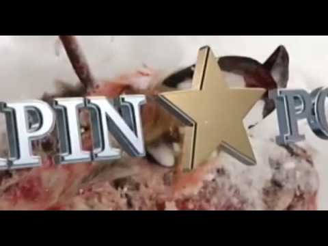 Lapin poliisit Jakso 17