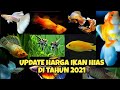 Daftar Harga Ikan Hias Air Tawar Aquarium