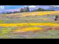 Explore Outdoors: Butte County superbloom hike to 'beauty in impossible places'