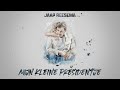 Jaap Reesema - Mijn kleine presidentje