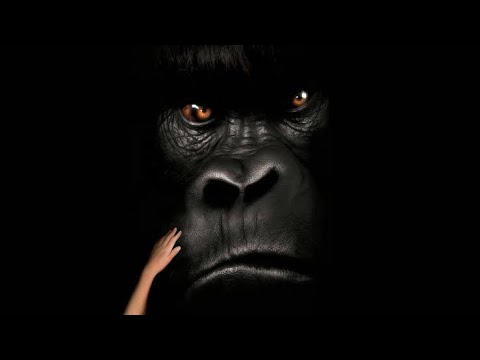 Mighty Joe Young Full Movie Facts And Information |   Bill Paxton | Charlize Theron
