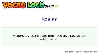 Video thumbnail for koalas
