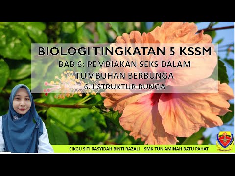 BIOLOGI TINGKATAN 5 KSSM BAB 6.1 :STRUKTUR BUNGA