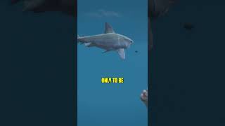 Download lagu What Happens If You Go To 'N' POINT In GTA 5 mp3