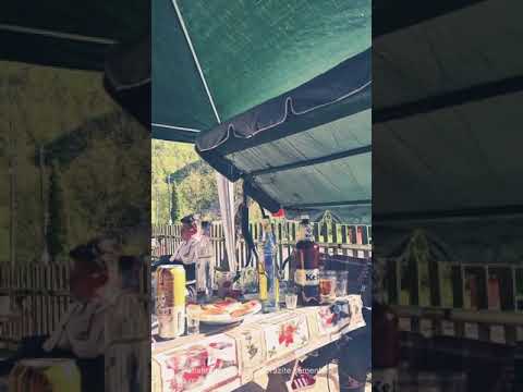 Anicka olahova 2021 live