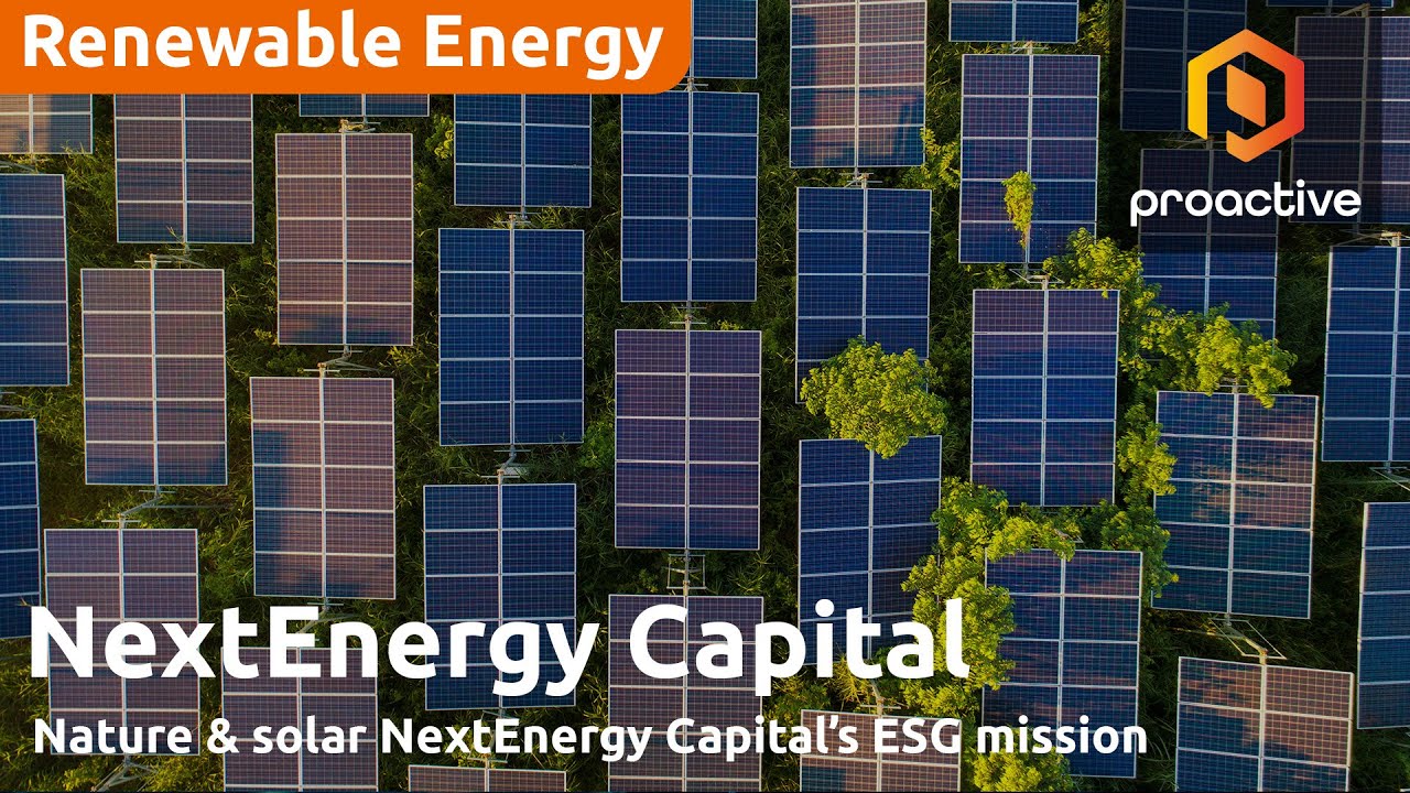 NextEnergy Group’s Nature Strategy explained