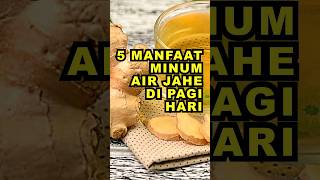 Download lagu 5 Manfaat Minum Air Jahe Di Pagi Hari #ekoazis mp3