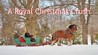 A Royal Christmas Crush (2023) Lovely Romantic Hallmark Trailer