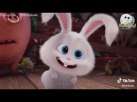 Sodi naga. Song Himabolle Vershon