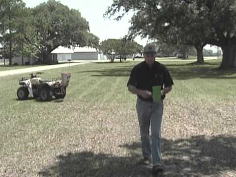 Fire Ant Control Strategies