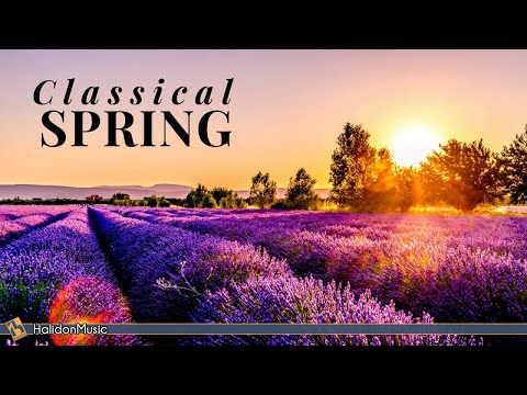 download lagu mp3 mp4 Springtime Classics, download lagu Springtime Classics gratis, unduh video klip Springtime Classics