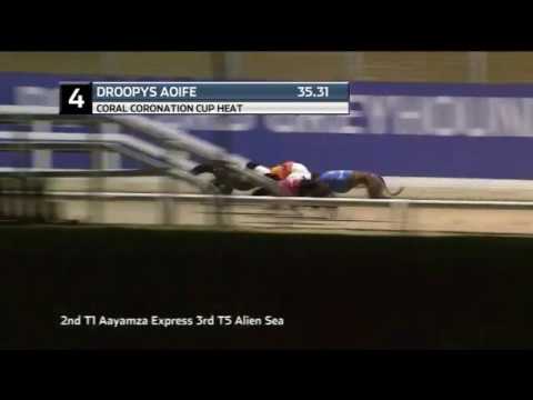 2020 CORAL CORONATION CUP - HEAT 3 - T4 DROOPYS AOIFE