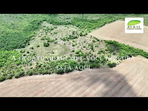 FAZENDA COM LAVOURA DE SOJA DE 127 ALQUEIRES - SILVÂNIA-GO