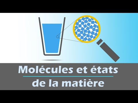 Molécules et états de la matière | Physique Chimie | Collège | Cycle 4