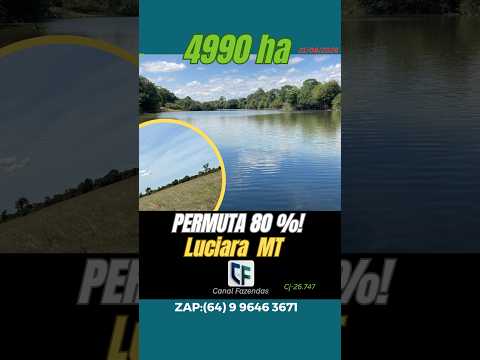 4.990 Hectares no MT por R$ 30 Milhões — Ideal para Cria/Recria (Geo e CAR OK)