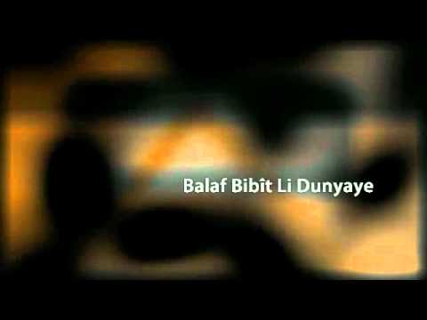 Niroj-B Li ser Duhoki.Net