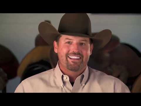 Silver Spurs Equine - Our Stallions and breeding - what we are all about)