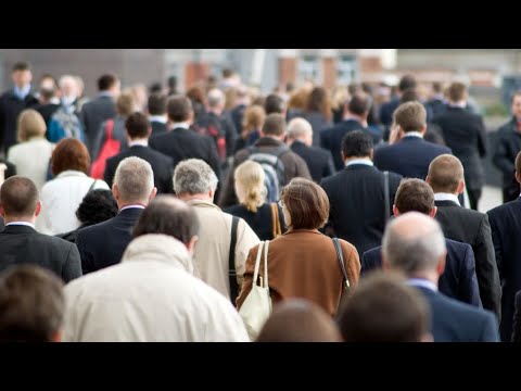 ‘Not the migrants we need’: Labor’s immigration intake largely unskilled