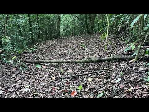 Property video 1