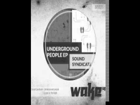 SOUND SYNDICATE - LOOPS IN THE NIGHT (ORIGINAL MIX)