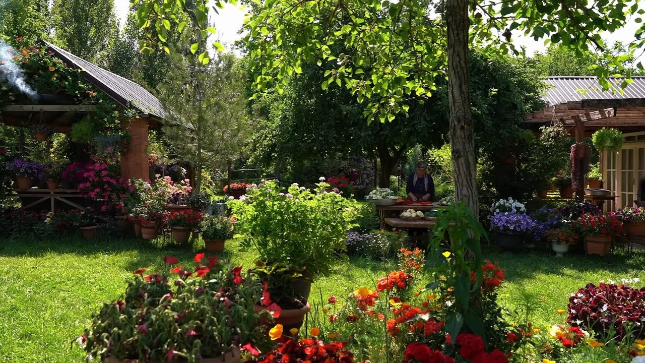 Harvest with me :  paradise found with best veiws in my grarden