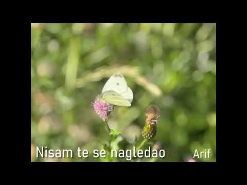 Nisam te se nagledao