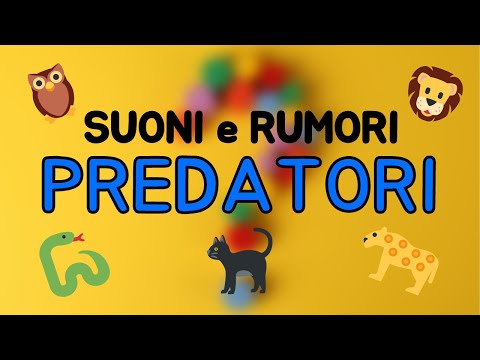 🎵 Suoni e Rumori da Indovinare - Animali Predatori - Audio Quiz 🎵