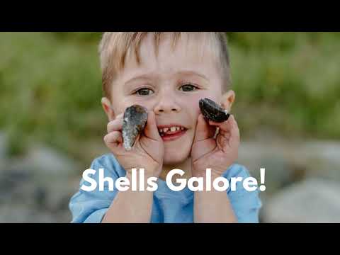 Life in Plett 2024 Louise