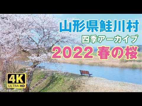 鮭川村の四季アーカイブ2022春  地域おこし協力隊