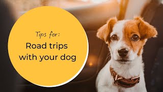 Tips for: Road trips with your dog