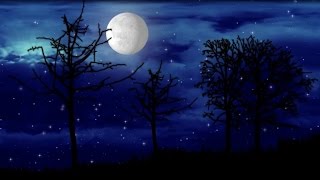 European Jazz Trio - Clair de Lune (Debussy)