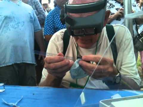 hummingbird banding & release