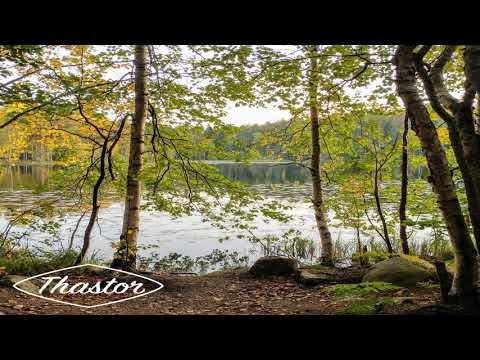 Thastor - Zen