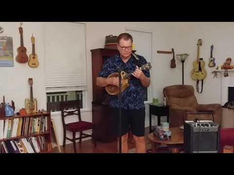 Fender mini with nady spc-25