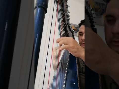 Mi Sueño feliz (Lorenzo Leguizamon) arpa paraguaya, Alcides Ovelar