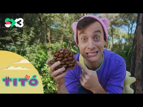 Excursió amb panellets i pinyons - Titó