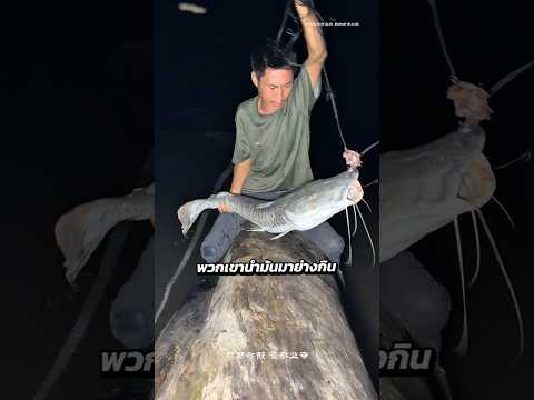 2 หนุ่มเอาชีวิตรอดในป่าอเมซอน ดินแดนสัตว์มีพิษสุดอันตราย!