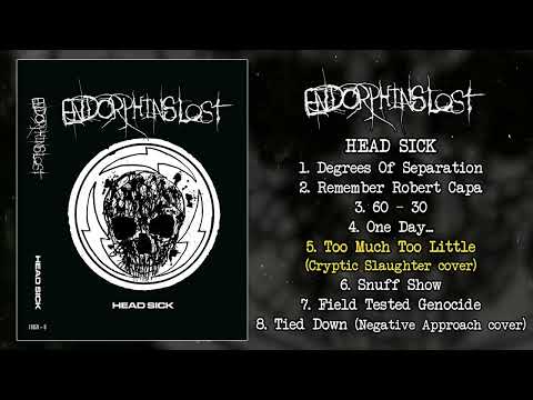 Endorphins Lost - Head Sick MC FULL EP (2022 - Powerviolence / Grindcore)