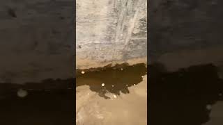 Water Is Leaking Into My Basement
