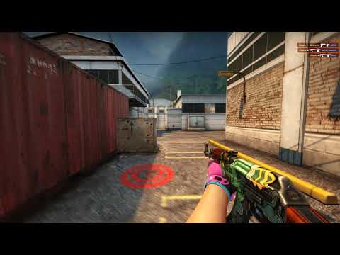 s1mple - 5k in FPL(ShortMovie)