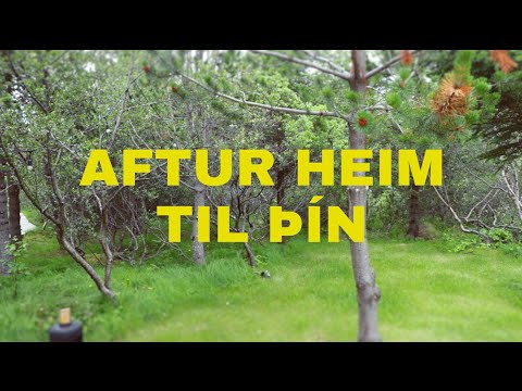 Eyþór Ingi & Lay Low - Aftur Heim Til Þín