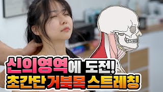 초간단 거북목 자가교정 스트레칭! 신의영역 제가 도전합니다 [승모근 없애는 스트레칭/승모근 마사지]