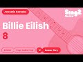 Billie Eilish 8 Lower Key Acoustic Karaoke
