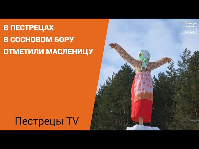 В Пестрецах в сосновом бору отметили Масленицу