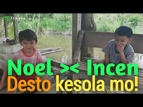 desto-kesola-mo